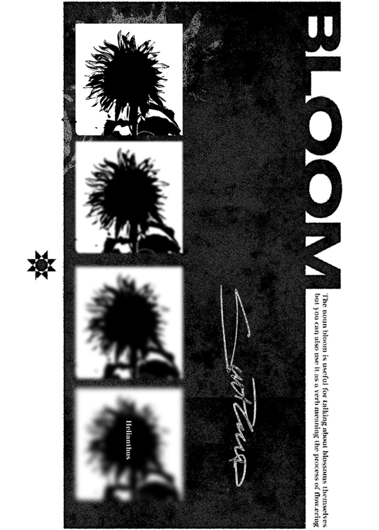 bloom2